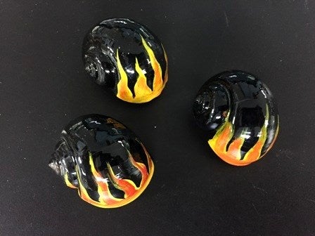 Flame Shells FLAME - Darlene's Shells