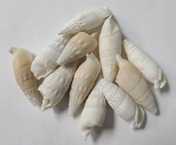 - KG1090