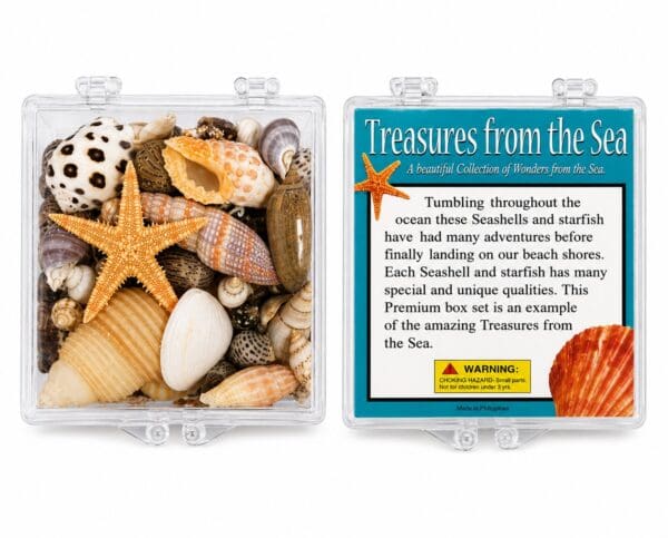 - Treasures_Boxes_upload
