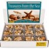 - Treasures_Display_upload