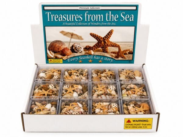 - Treasures_Display_upload