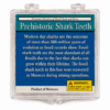  - ChatGPT Image Aug 20 2026 at 07_48_23 PM