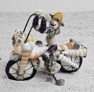  - NVBB107S