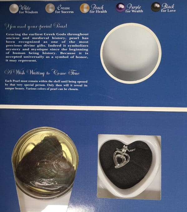  - SJHB2001FL_2_lgjpg