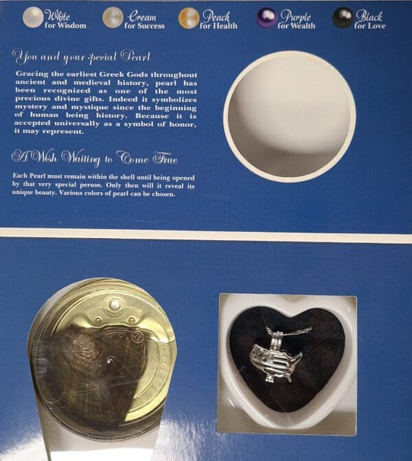  - SJHB2001USA_2_lgjpg